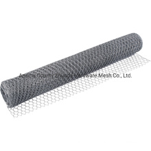 Ebay High Quality Poultry Chicken Wire Mesh Made in China